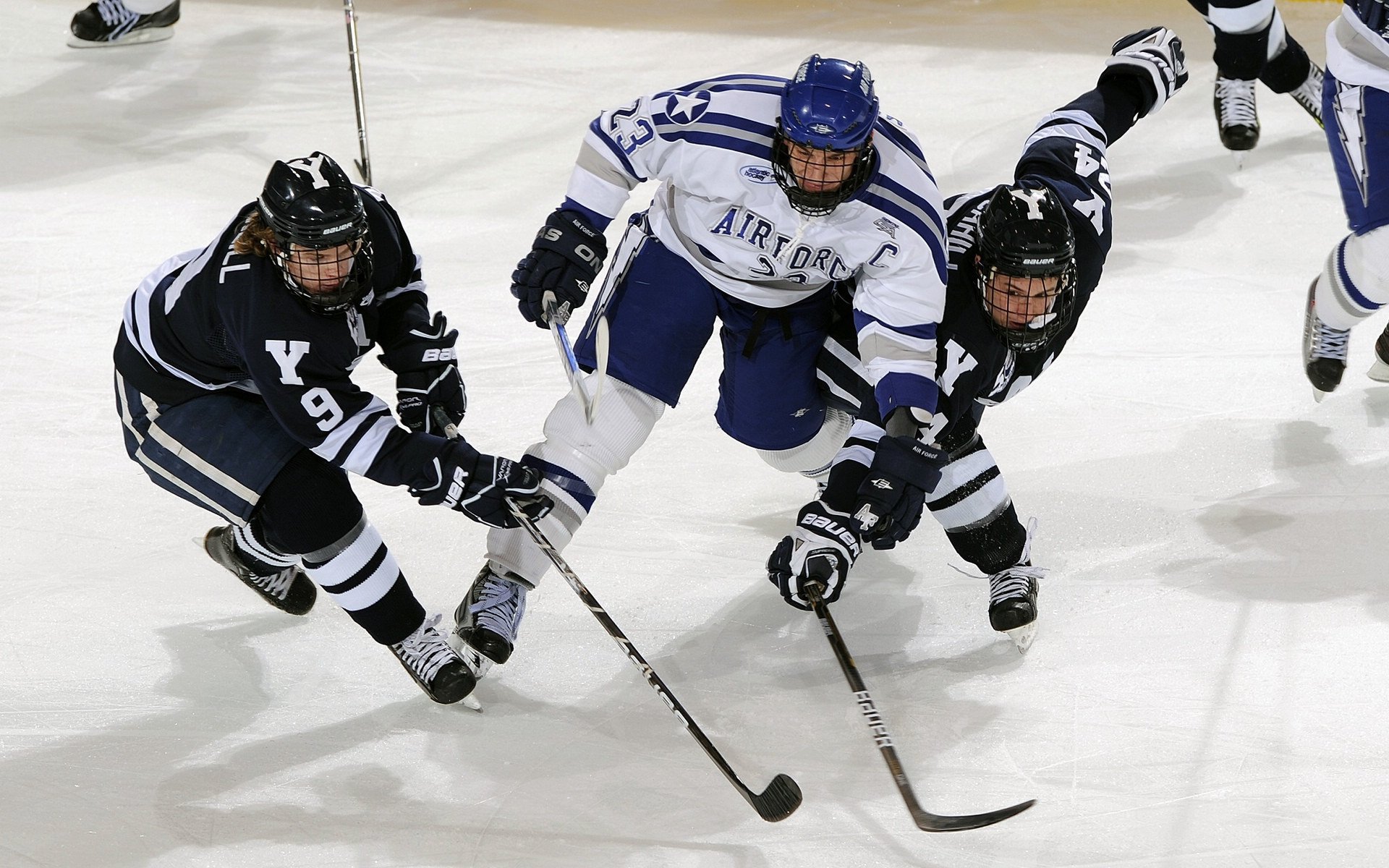 悉尼国王新赛季开局强势，悉尼国王队名单